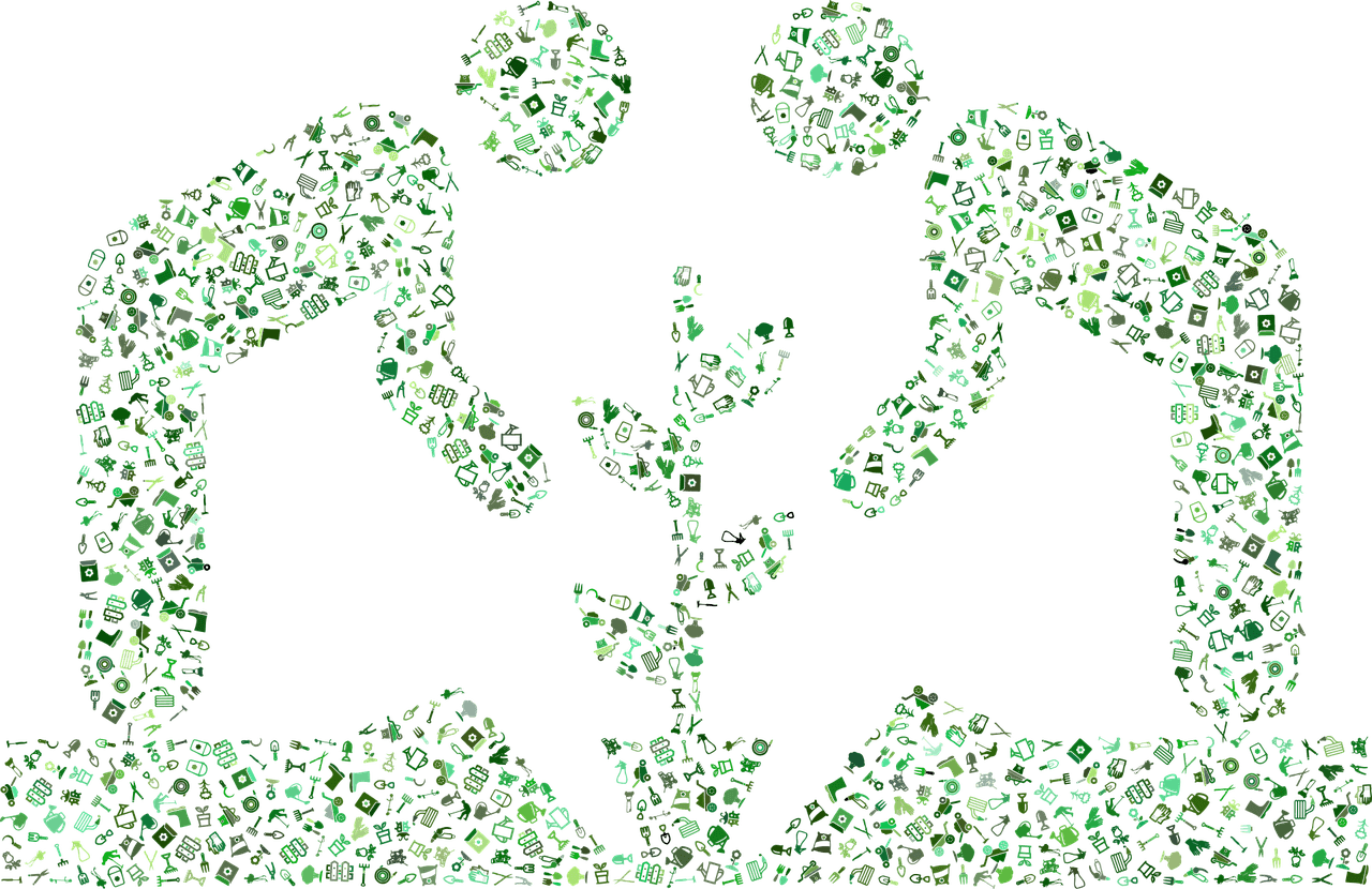 Person caring for a green garden